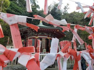 Welcome to the Island! Enoshima